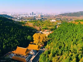 铁胆兄弟5：兄弟诀别