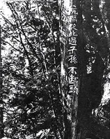 最真实的国产伏击战!最真实的抗联生活电影!