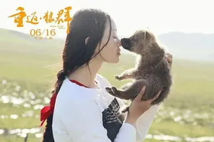 《重返狼群》一夜翻红，&ldquo;狼王&rdquo;格林还活着吗？