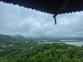 疯狂与理智5：病房外的求救电话