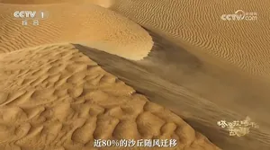 CCTV-1：创新编排，2026年1月21日首次在晚间黄金档剧场播纪录片