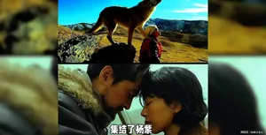 《生命树》央视八套热播,40集现实题材,探讨生态与人性