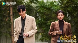 《夜色正浓》定档江苏卫视,江疏影佟大为主演,都市靓丽职场剧