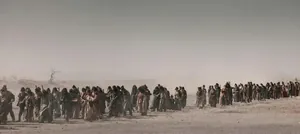 一手好牌打得稀烂？《太平年》高开低走，三大原因劝退观众