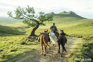 如果你觉得最近没剧好看，那是还没点开这5部