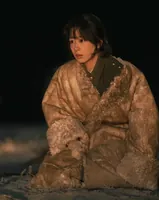 央视新剧《生命树》今晚开播！胡歌、杨紫联手，又是一部大爆款