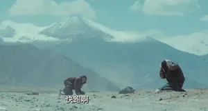 连看四集央八的《生命树》，我想说：年代剧大门要被杨紫踹烂了