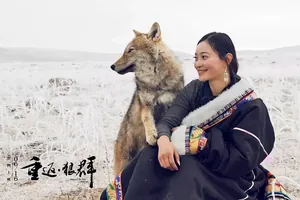 看完翻红的《重返・狼群》，还有这些同款精神食粮！