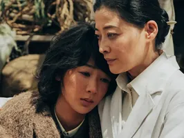 90花的较量，轮到了杨紫和白鹿？