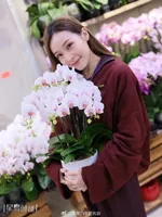 李佳芯自制催婚抗体 黎诺懿调高利是预算 孖住买花贺年亲民派福利