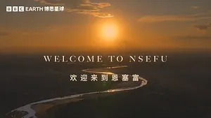 东方卫视今晚22:00 BBC纪录片《动物王国》收官 | 讲述影片背后的故事