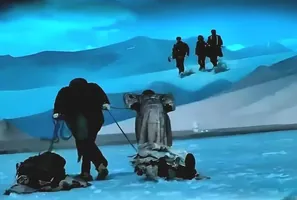 《生命树》:坚守很难,但总有人拿命来坚守