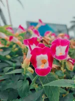 恩怨难断 10：三堂对质