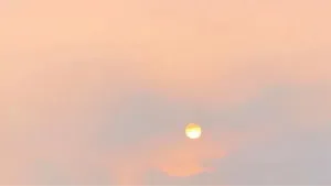 《狙击蝴蝶》:遭遇背叛后,遭遇背叛后,去爱比被爱更有力量!