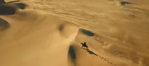 这才叫打戏，《镖人》让我想起，上一次心脏狂跳的时候