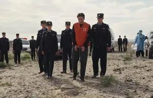 生命树收官！林培生落马孟耀辉死刑 白菊复婚老韩娶富婆 他最惊喜