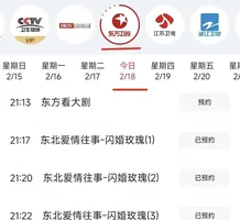 卫视非黄金档“收留”竖屏短剧:认可,还是试水?