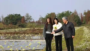 港姐、知名导演在珠海拍剧!这里即将爆火!