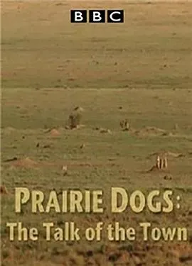 BBC自然世界.语言大师草原犬鼠