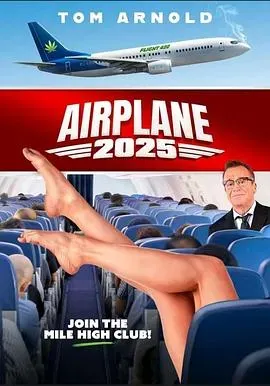 飞机2025