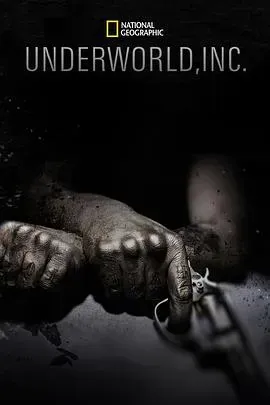 黑市大企业第一季