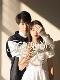 看不见的爱人电影版