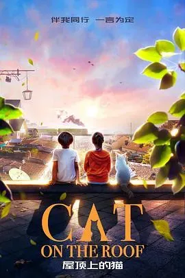 屋顶上的猫
