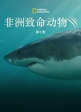 非洲致命动物第七季